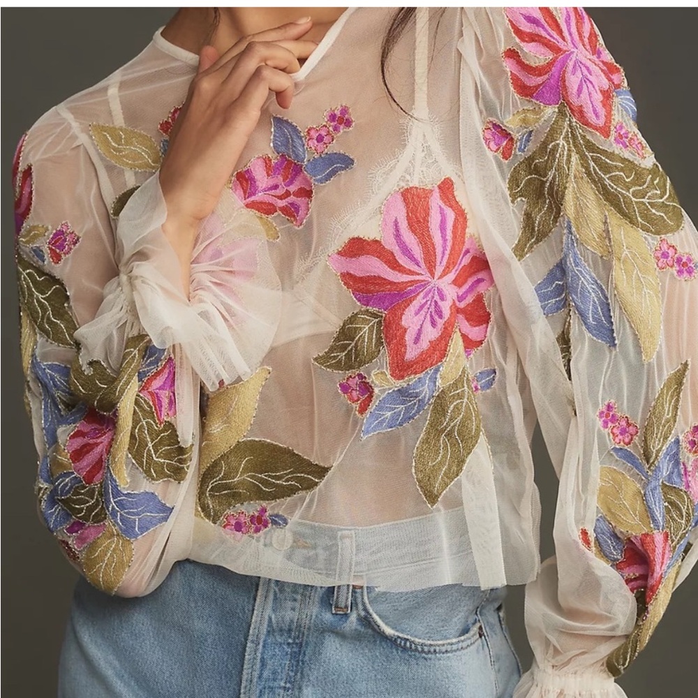 Anthropologie The Layla Long-Sleeve Appliqué Mesh Blouse